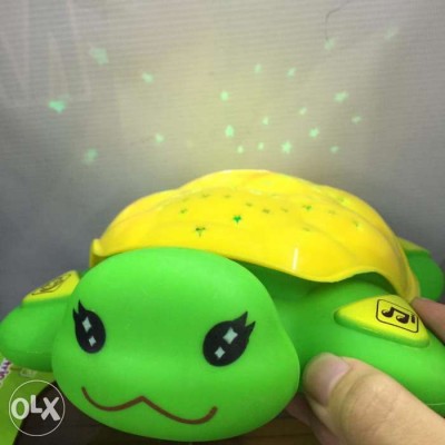 Turtle Projector Toy