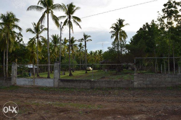 For Sale - Prime Farm Land With Piggery in Sinawilan, Digos City