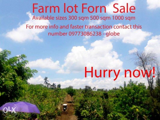 Farm Lot for Sale with available size 300, 500, 1000 sqm