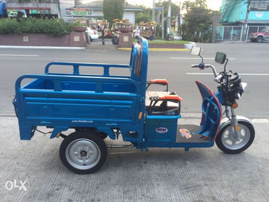 mini cargo RFM 3-wheel tri-wheel 3wheel etrike e-trike e-tricycle eco