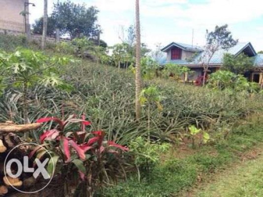 Tagaytay Residential Lot Cash or Terms