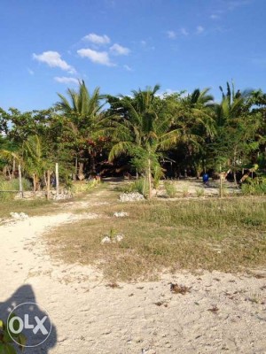 *** 1,500+sqm BEACHFRONT Property in BATANGAS For Sale ***