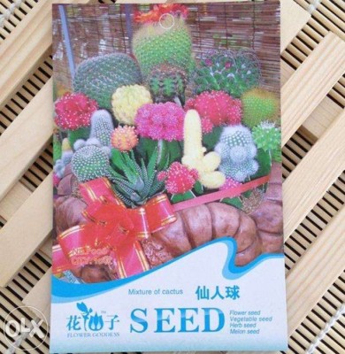 Cactus Mix Seed 10 pcs seed per pack