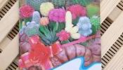 Cactus Mix Seed 10 pcs seed per pack
