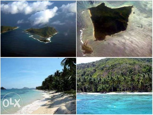 Palawan Cacayatan Island For Sale