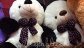 Teddy Bear stuff toy up to 6ft