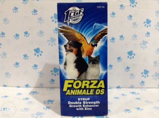 FORZA ANIMALE DS syrup for dogs, cats and poultry