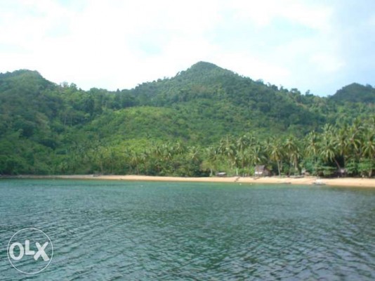 Palawan Island for Sale