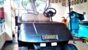 EZ GO Textron Electric Golf Cart
