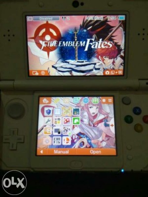 Custom Firmware (A9LH/Coldboot CFW) for 3DS - Home and Meetup Service